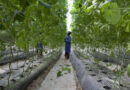 UN Climate Adaptation Expo in Zambia Ends with Urgent Call for Scaled-Up Finance and AI Solutions
