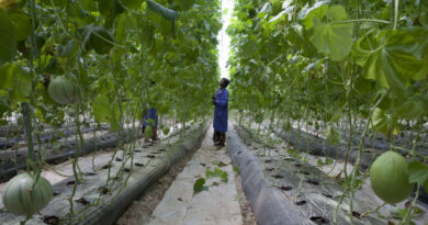UN Climate Adaptation Expo in Zambia Ends with Urgent Call for Scaled-Up Finance and AI Solutions