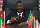 Zambia Invites Chinese Investors to Explore Agricultural Opportunities 