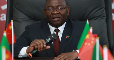 Zambia Invites Chinese Investors to Explore Agricultural Opportunities 