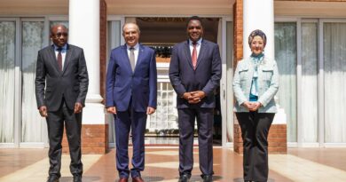 President Hichilema Pushes for Deeper Zambia-Egypt Economic Cooperation