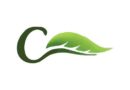 CEC Renewables Reports 236% Surge in Half-Year Earnings 