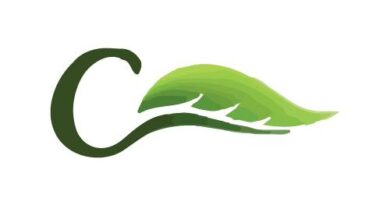 CEC Renewables Reports 236% Surge in Half-Year Earnings 