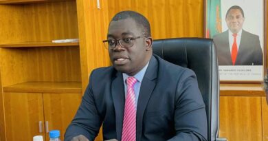 Mulenga Calls for Industry Collaboration to Boost Local Gemstone Processing