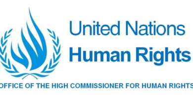UN Experts Urge Zimbabwe to Prioritise Girls’ Rights for Equal Future