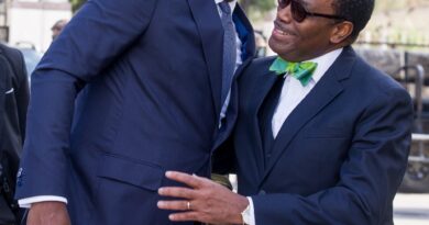 Mozambique President Praises AfDB’s Adesina for 10 Years of Impact