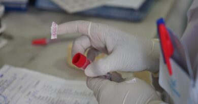 African Health Ministers Urge Urgent Action as Malaria Progress Falters