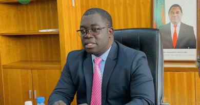 Mulenga Calls for Industry Collaboration to Boost Local Gemstone Processing