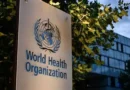 Africa Takes the Lead in Urgent WHO Talks to Tackle Health Worker Migration Crisis