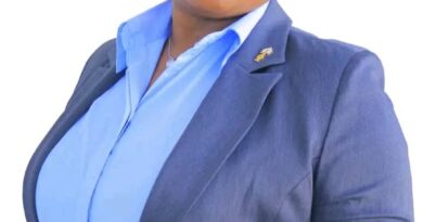 Lavushimanda Lights Up as ZEMA Approves Electrification and $700M in New Projects 