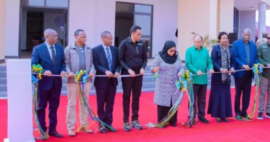 Tanzania Launches $63.2M Food Safety Drive with AfDB Support
