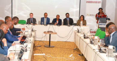 Africa Unveils Landmark Integrity & Equity Principles and Coordination Platform to Strengthen Carbon Markets