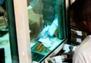 AfDB Injects USD 25 Million into TCX to Curb Africa’s Currency Risks