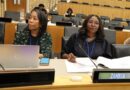 Zambia Calls on Commonwealth to Champion Resilience and Reform at Ministerial Meeting