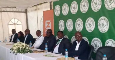 EIZ Launches Engineering Fund to Drive Innovation and Industrial Growth in Zambia 