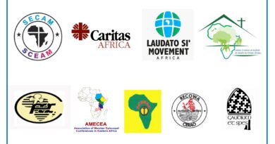 SECAM Calls for Urgent, Africa-Led Climate Action and Just Financing Ahead of COP30 