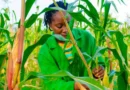 AfDB Approves Additional $8.9 Million Grant to Boost Climate Resilience in São Tomé and Príncipe