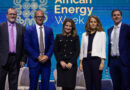 TotalEnergies, Chevron Call for Faster Permits and Improved Seismic Data to Unlock Africa’s Oil and Gas Potential