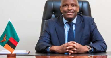 Zambia and Zimbabwe Hold Joint Ministerial Meeting on Energy at Kariba