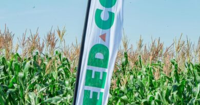 Seed Co Zambia Launches *419# Platform to Empower Farmers