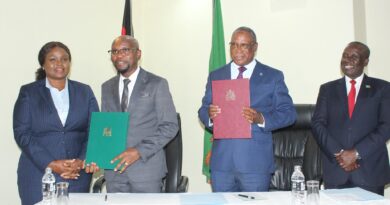 Zambia, Malawi Sign $77 Million Maize Export Deal to Boost Regional Food Security