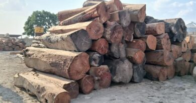 Forestry Department Warns Against Illegal Logging After Court Forfeiture Ruling 