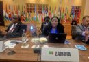 Unity and Solidarity in Focus as Zambia Participates in NAM Midterm Meeting
