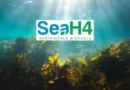 South African Start-Up SeaH4 Wins World’s Largest Green Business Competition