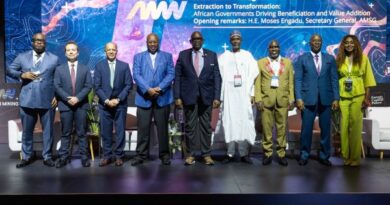 DRC, Nigeria, Zimbabwe Eye Mining Value Chain Gains