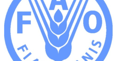 Zambia’s Digital Shift Offers New Model for Resilient Agriculture in Africa 