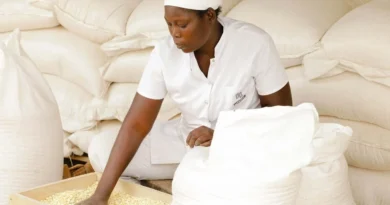 UK to Host Landmark African Development Fund Replenishment to Boost Africa’s Growth