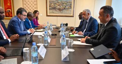 Ould Tah Leads Bold Push to Harness Africa’s Domestic Investment Potential