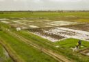 AfDB Approves $2.25 Million to Boost Agricultural Productivity in Sierra Leone