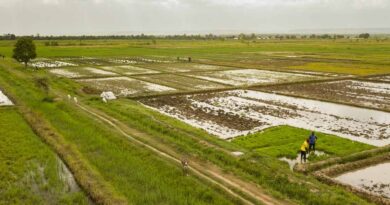 AfDB Approves $2.25 Million to Boost Agricultural Productivity in Sierra Leone