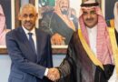 Africa-Saudi Partnership Enters New Era with AfDB-Led Investment Push