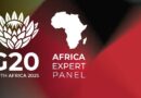 G20 Experts Urge Debt Reform and Investment Surge for Africa