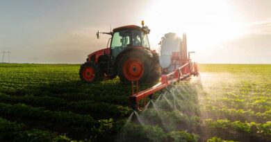 AfDB Injects $211.4 Million to Boost Agriculture and Create Jobs in Eastern Angola 