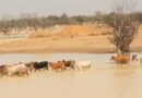 ADF Grants $9.5 Million to Boost Sahel Climate Resilience