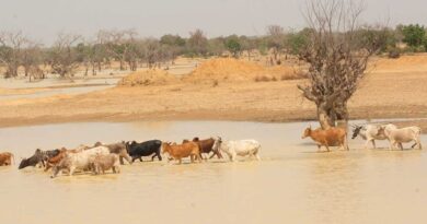 ADF Grants $9.5 Million to Boost Sahel Climate Resilience
