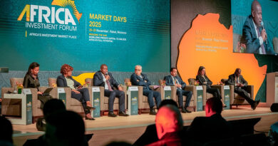 Private Investment Key to Africa’s Growth, Say Finance Ministers
