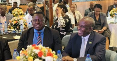 Farmers Gain Control and Opportunities Through FISP E‑Voucher System 