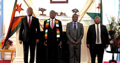 Zambia’s Ambassador-Designate Presents Credentials to Zimbabwean President