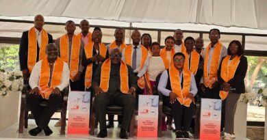 Mentorship Key to Advancing Zambia’s Energy Sector, Says EIZ President