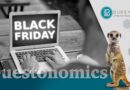 Ecentric’s 2025 Black Friday Dashboard is Live