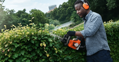 Summer Garden Care Made Easy with Husqvarna Tips