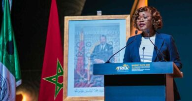 Capital Gaps Restrict African Women Entrepreneurs, Says Minister