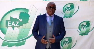 Zambia’s Inflation Falls to 10.9% as Fitch Upgrades Rating, Says EAZ President