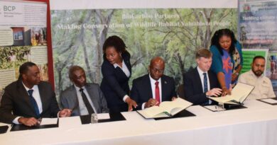 Zambia Signs Historic Carbon Agreement to Boost Climate Action