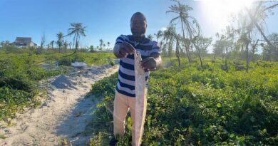 Fisheries Programme Boosts Trade and Jobs in 16 SADC Countries