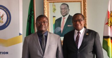 AfDB Executive Director Reaffirms Strong Partnership with Zimbabwe During Working Visit